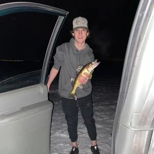 Meet your Posher, Boyd